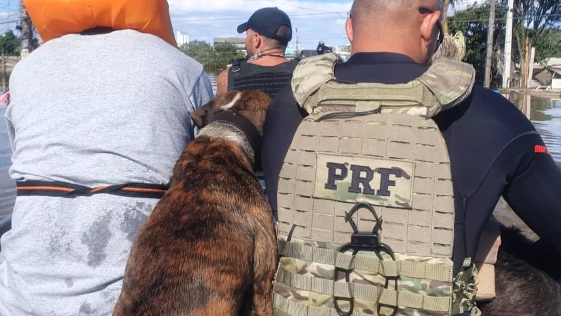 PRFs de Santa Catarina seguem fazendo resgates de pessoas e animais no Rio Grande do Sul